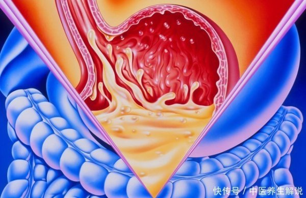 益阳指 饭量与寿命密切相关？经常每天只吃2顿饭的人，全因死亡风险增加