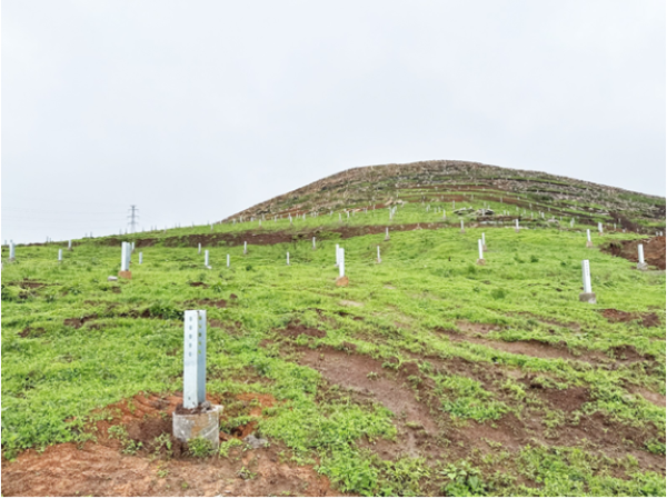 融创优配 城红寨光伏发电项目总承包工程清表与桩基施工节点目标圆满完成