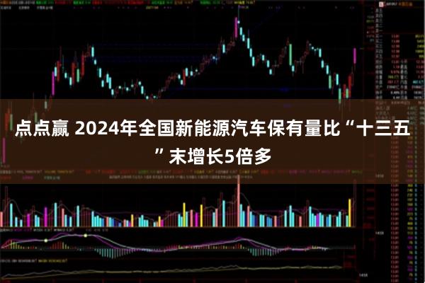点点赢 2024年全国新能源汽车保有量比“十三五”末增长5倍多