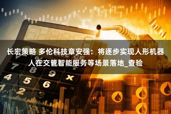长宏策略 多伦科技章安强：将逐步实现人形机器人在交管智能服务等场景落地_查验